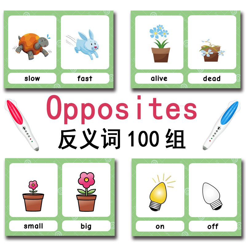 The 100 Groups Opposites Flash - Kids Education In Us recensie en prijs