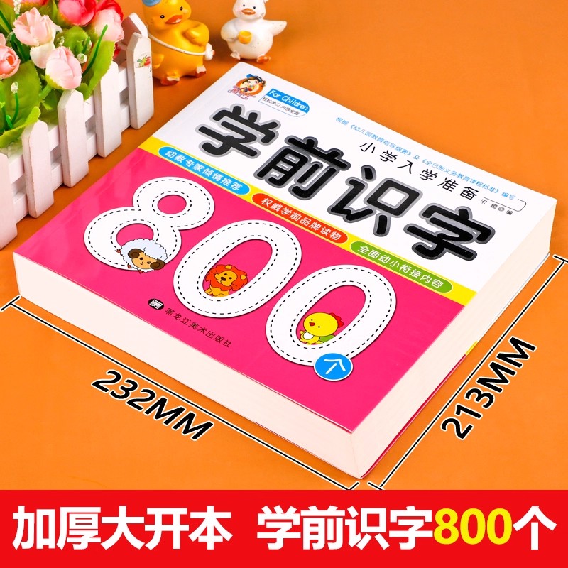 Preschool Literacy: 800 Chines - Kids Education In Us recensie en prijs