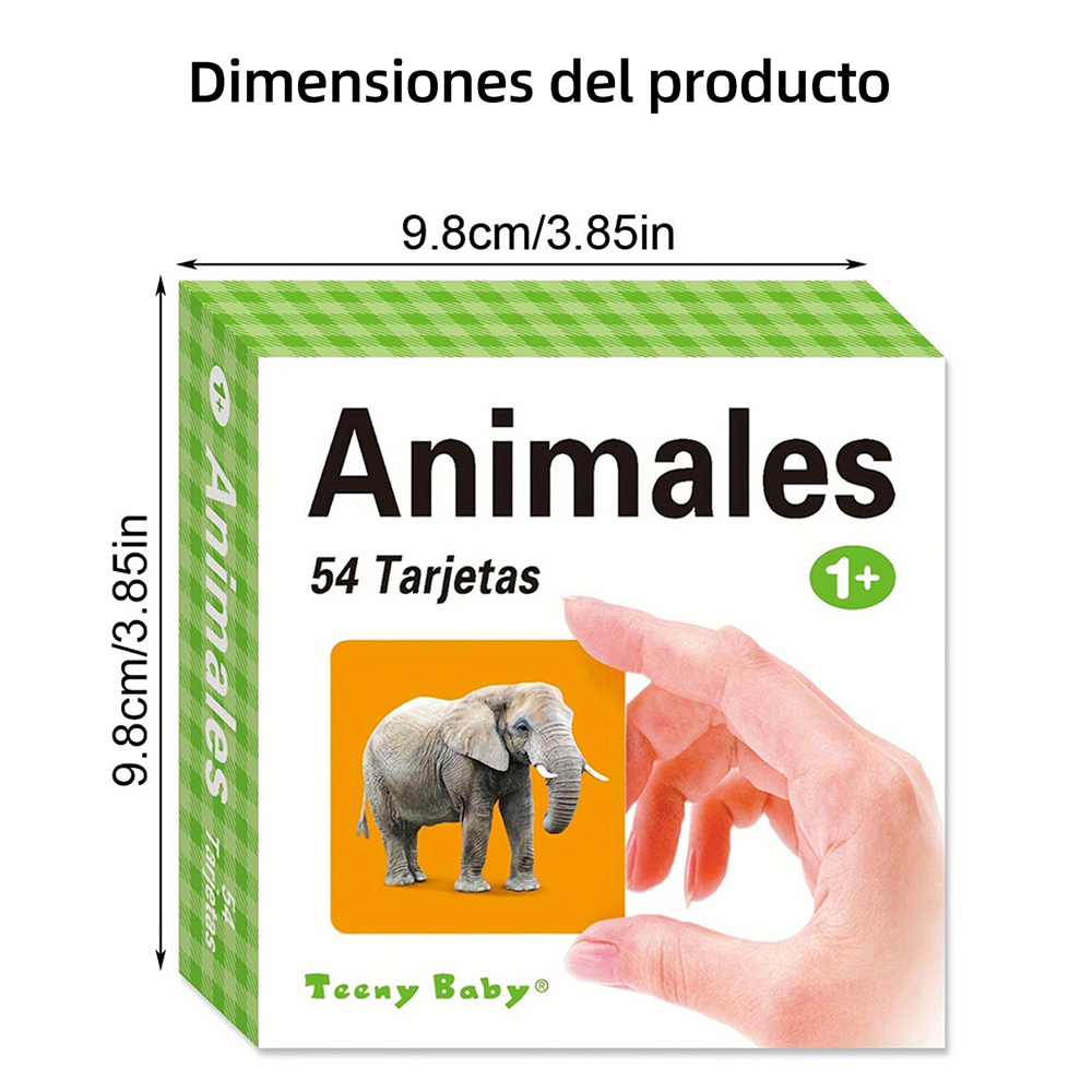 Different types of Spanish lea - Kids Education Card recensie en prijs